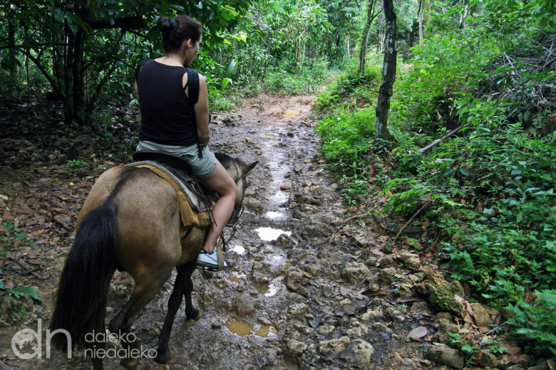 Salto El Limon