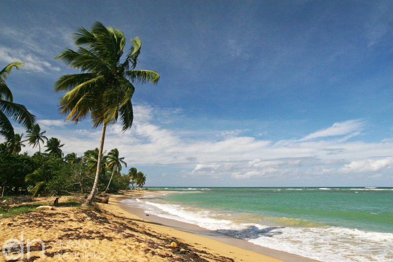 Las Terrenas