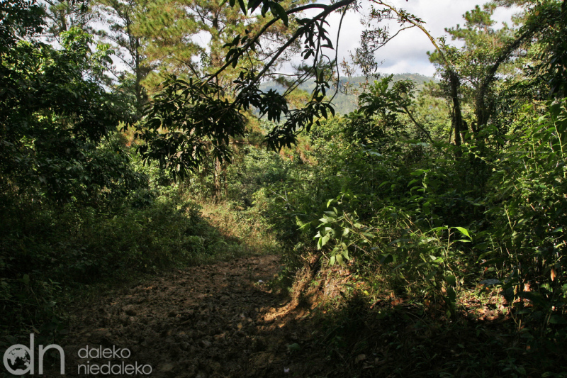 El Mogote