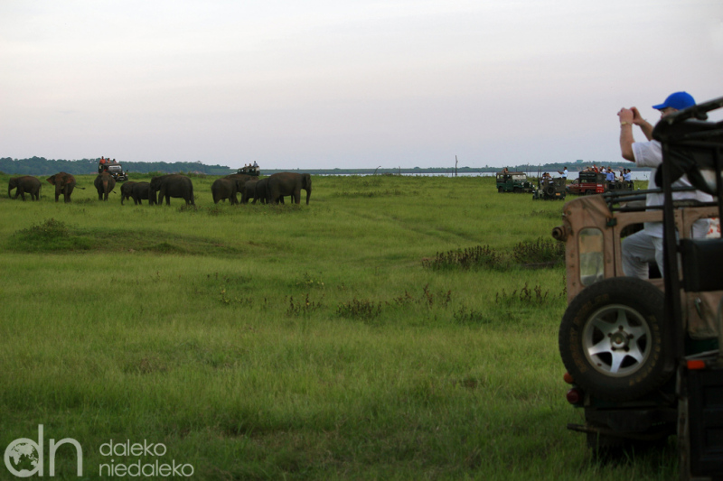 Park Narodowy Kaudulla