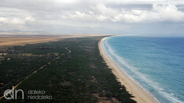 Tunezyjska plaża