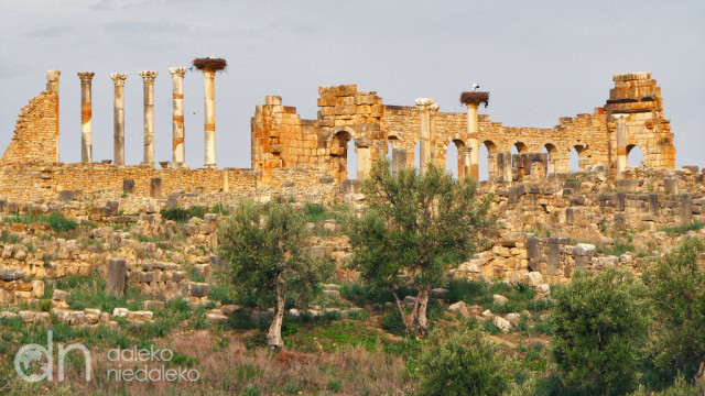 Volubilis