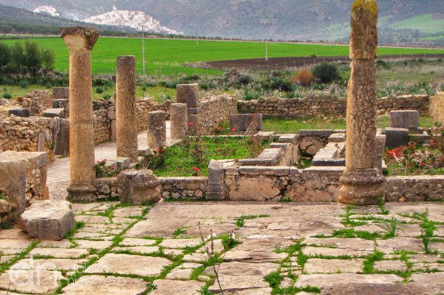 Volubilis