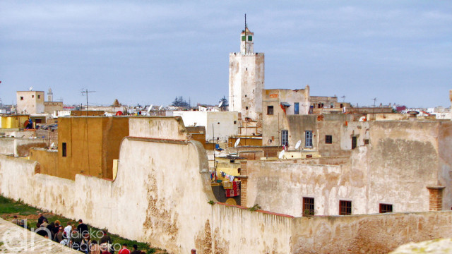 Al-Dżadida