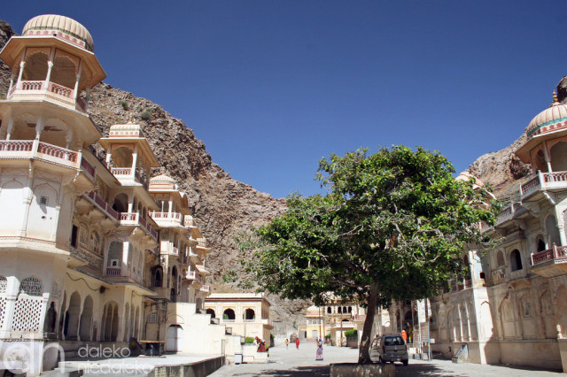 Galta