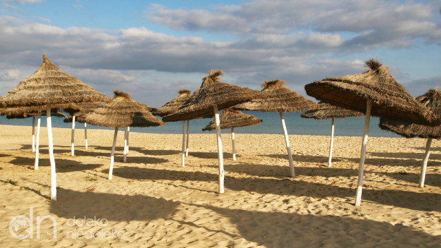 Yasmine Hammamet