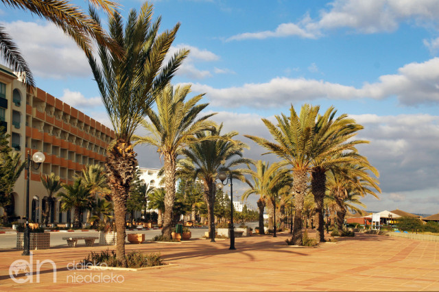 Yasmine Hammamet