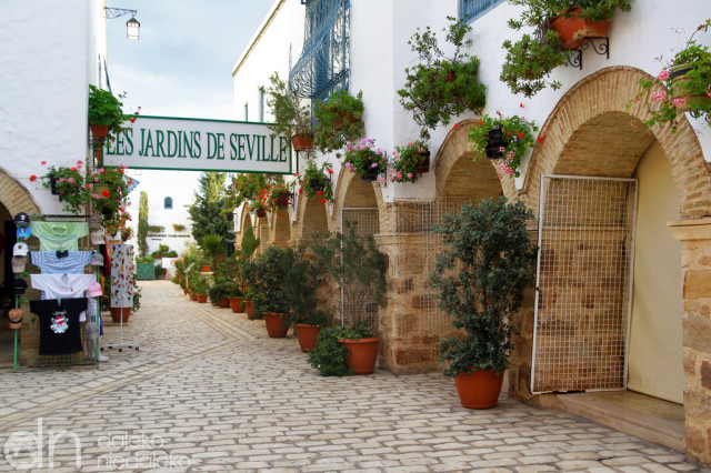Yasmine Hammamet