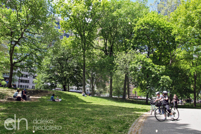 Central Park Central Park