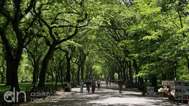 Central Park Central Park