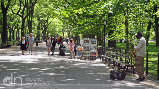 Central Park Central Park