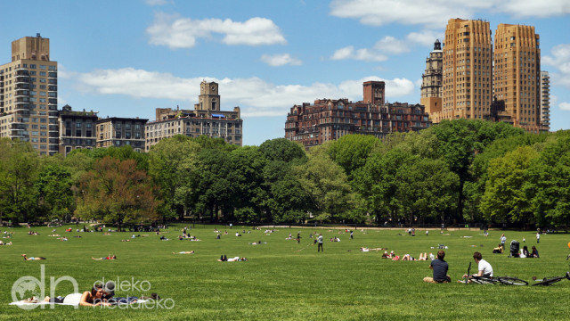 Central Park Central Park