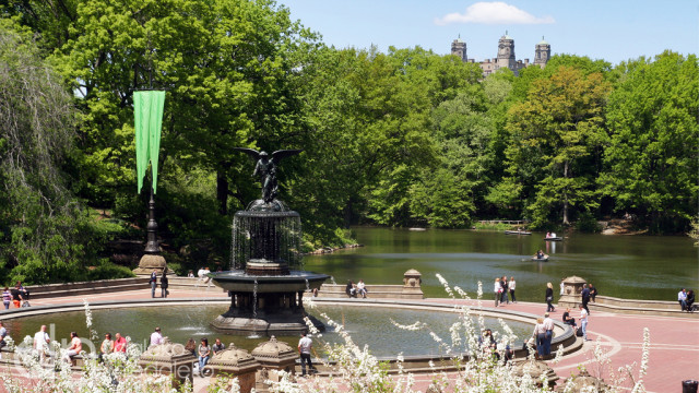 Central Park Central Park