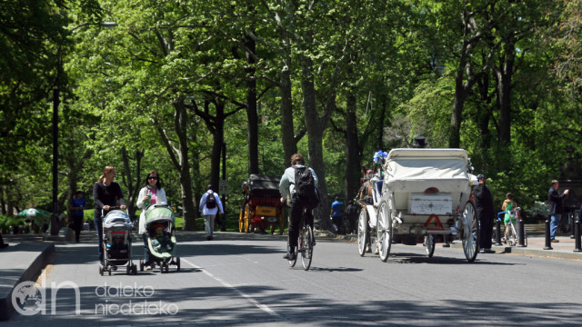 Central Park Central Park
