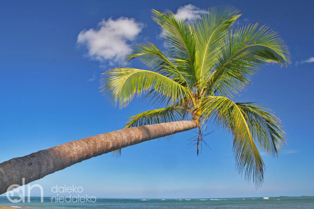 Playa Bonita Playa Bonita
