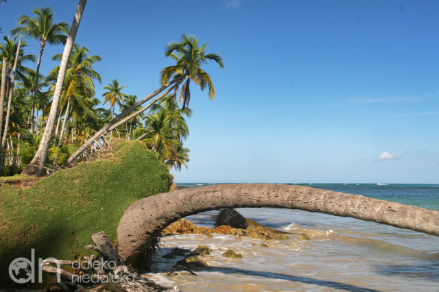 Playa Bonita Playa Bonita