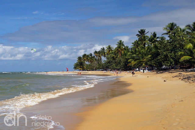 Plaża w Las Terrenas Plaża w Las Terrenas