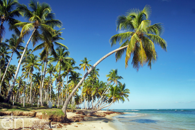 Playa Bonita Playa Bonita