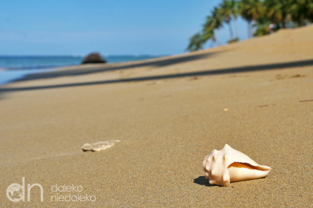Playa Bonita Playa Bonita