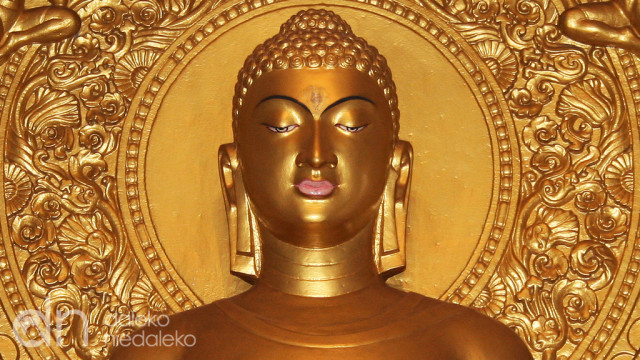 Budda Budda