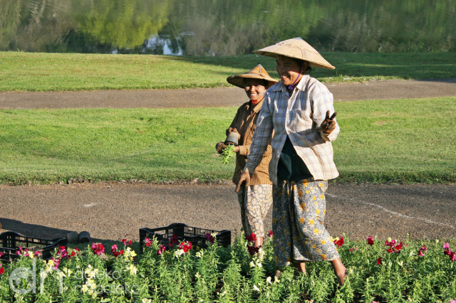 Ogrody Kandawygi Ogrody Kandawygi