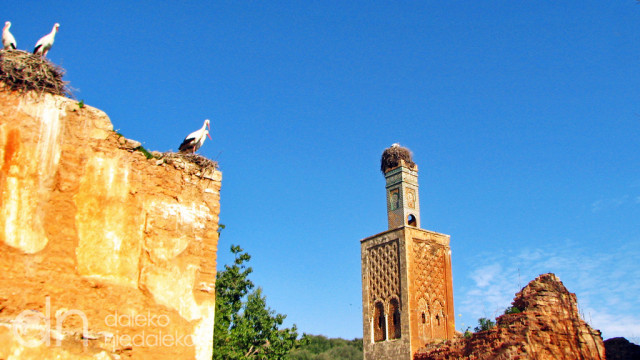 Minaret w Szelli Minaret w Szelli