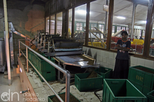 Fabryka herbaty Fabryka herbaty