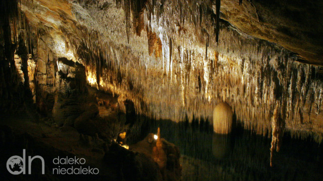 Coves del Drach Coves del Drach