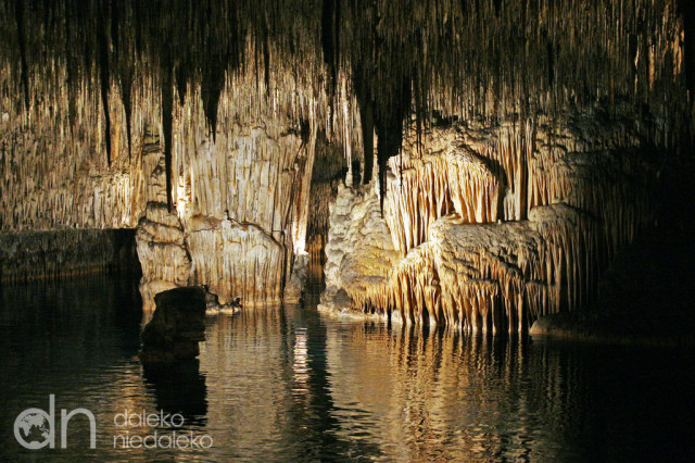 Coves del Drach Coves del Drach