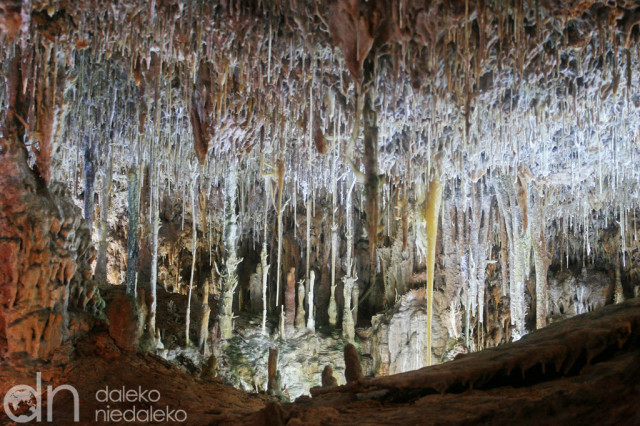 Coves del Hams Coves del Hams