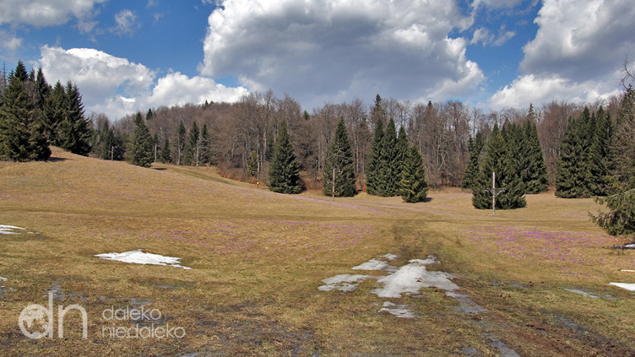 Szlak na Gacovską Skałę