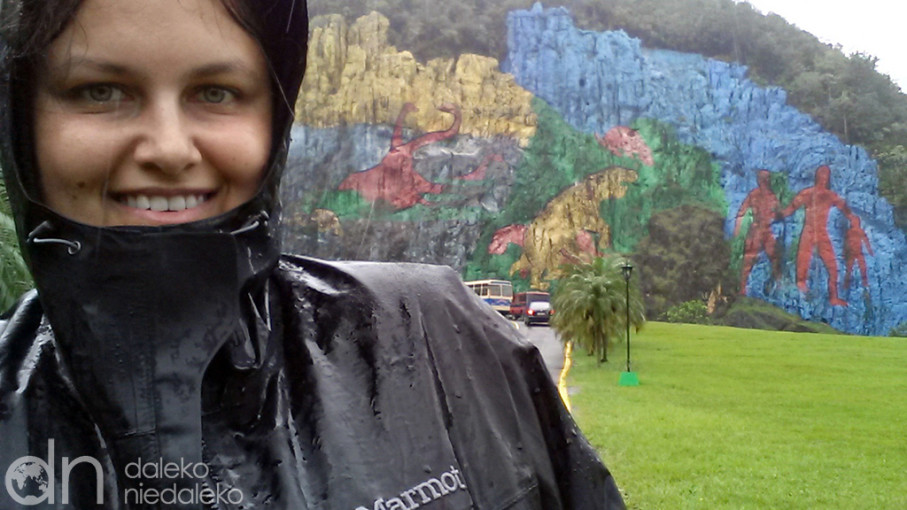 Kurtka Marmot Minimalist Jacket