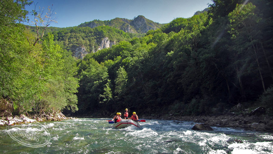 Rafting na Tarze